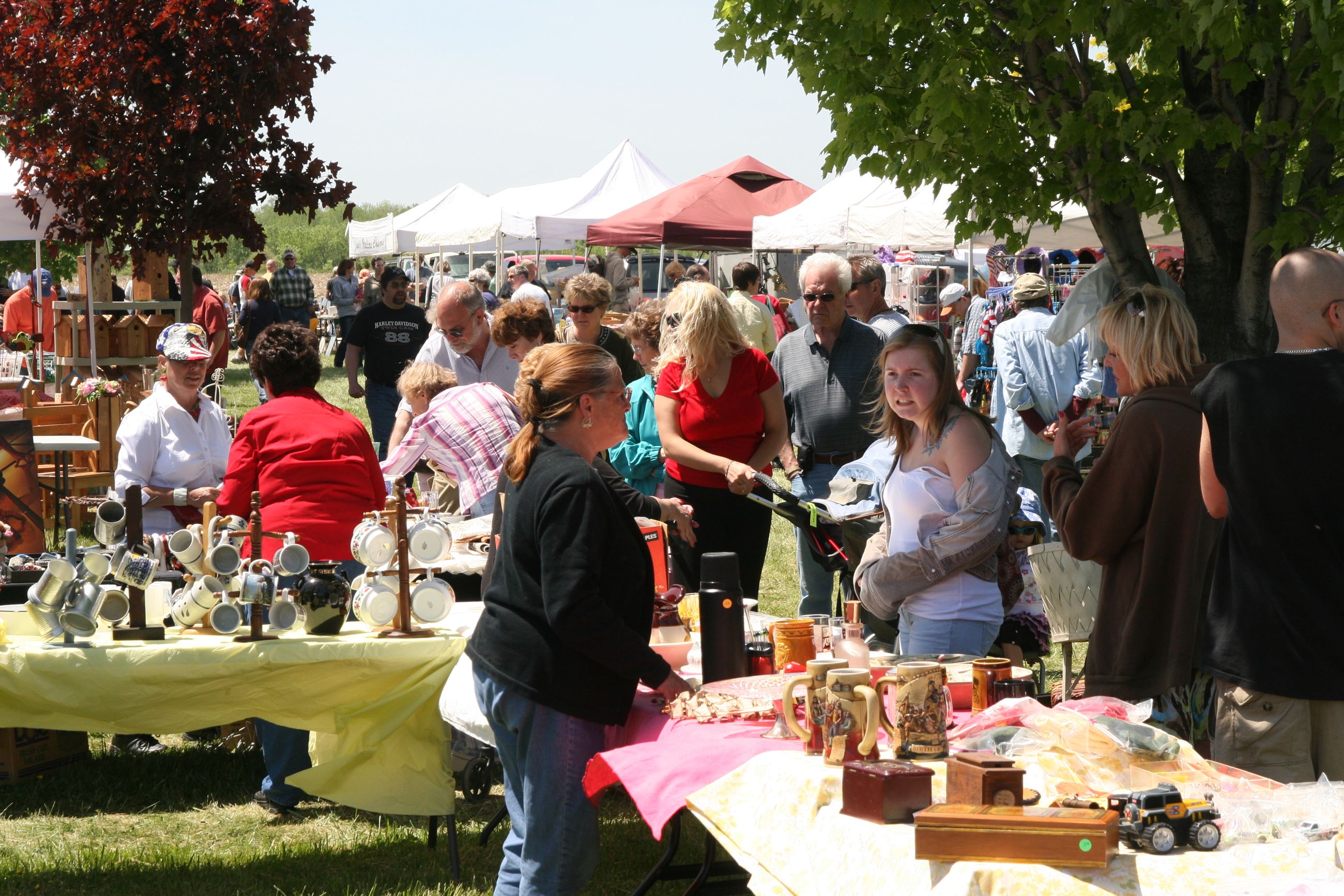 Historical Society 44